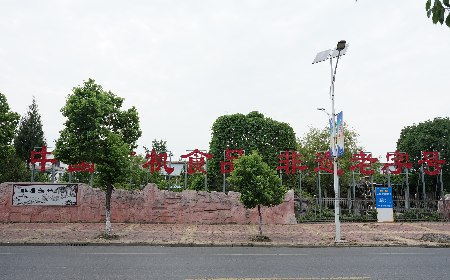 當(dāng)定制葛粉時，我們真正在選擇什么？